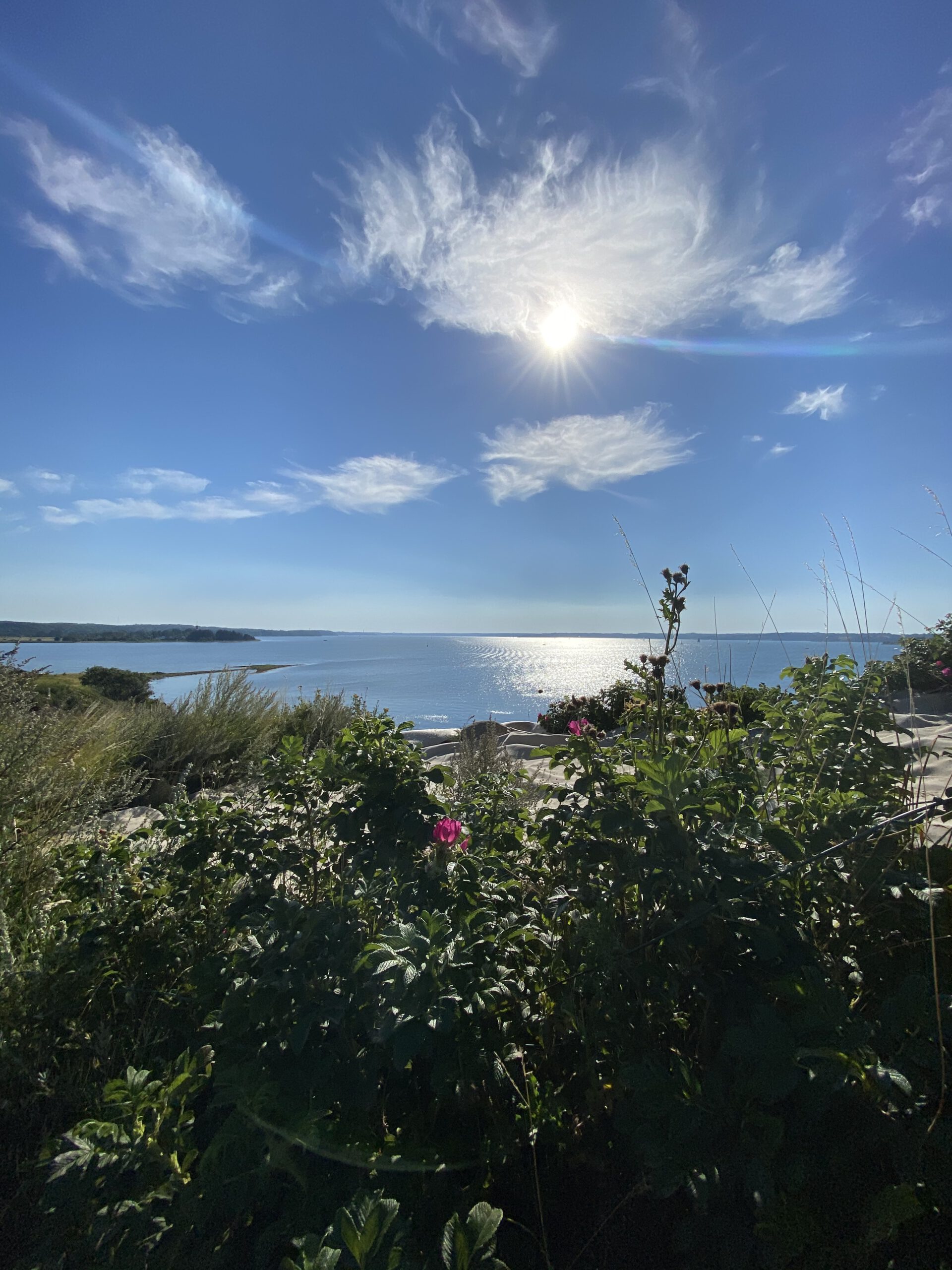 Flensburger Förde in der Sonne
